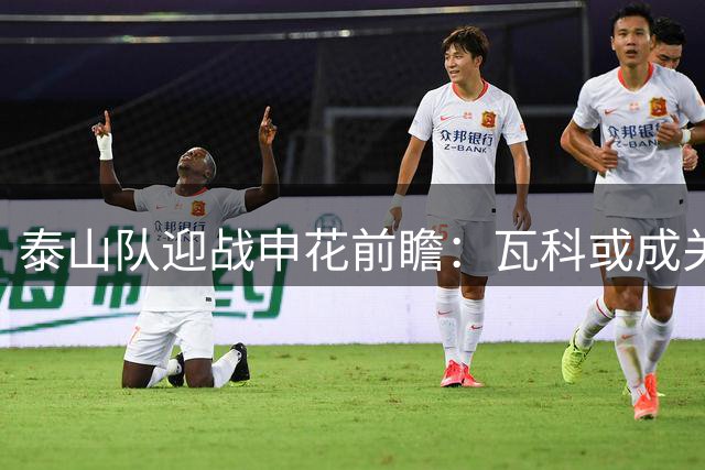 泰山队迎战申花前瞻：瓦科或成关键先生 阵容调整考验新帅智慧